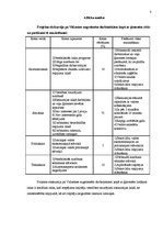 Prakses atskaite 'SIA "Mentum" korporatīvā pasākuma organizēšana', 8.