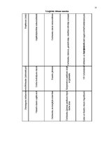 Prakses atskaite 'SIA "Mentum" korporatīvā pasākuma organizēšana', 10.