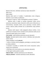 Diplomdarbs 'Mācīšanās optimizācijas iespējas sākumskolā', 2.