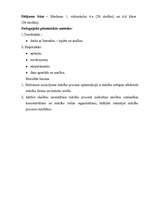 Diplomdarbs 'Mācīšanās optimizācijas iespējas sākumskolā', 3.