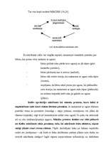 Diplomdarbs 'Mācīšanās optimizācijas iespējas sākumskolā', 41.