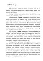 Diplomdarbs 'Mācīšanās optimizācijas iespējas sākumskolā', 46.