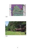 Referāts 'Labraga muiža cauri gadsimtiem', 26.