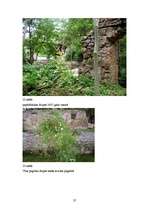 Referāts 'Labraga muiža cauri gadsimtiem', 37.