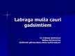 Referāts 'Labraga muiža cauri gadsimtiem', 38.