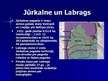 Referāts 'Labraga muiža cauri gadsimtiem', 40.