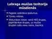 Referāts 'Labraga muiža cauri gadsimtiem', 45.