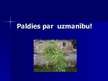 Referāts 'Labraga muiža cauri gadsimtiem', 47.