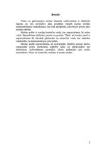 Konspekts 'Muitas audits', 2.