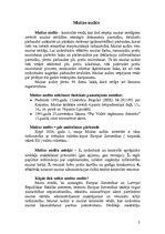 Konspekts 'Muitas audits', 3.