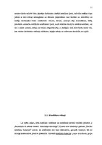 Referāts 'Darbinieku konfliktu attīstība un vadība pašvaldības iestādē', 11.