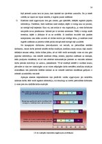 Referāts 'Darbinieku konfliktu attīstība un vadība pašvaldības iestādē', 24.