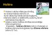 Prezentācija 'Infekciju slimības. Holēra', 2.