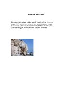 Referāts 'Turcija', 4.