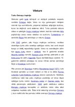 Referāts 'Turcija', 5.