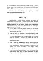 Referāts 'Koka mājas plusi un mīnusi', 5.