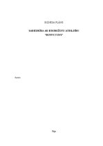 Biznesa plāns 'Biznesa plāns SIA "Bunny Toys"', 1.