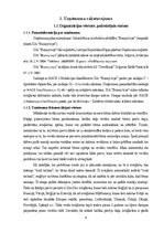 Biznesa plāns 'Biznesa plāns SIA "Bunny Toys"', 4.