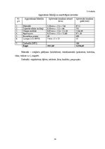 Biznesa plāns 'Biznesa plāns SIA "Bunny Toys"', 34.