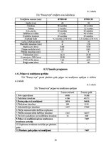 Biznesa plāns 'Biznesa plāns SIA "Bunny Toys"', 36.