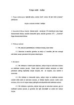 Referāts 'Traipu veidi un to tīrīšanas metodes', 4.