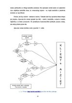 Diplomdarbs 'Satura pārvaldības sistēmas veidošana', 30.