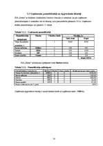 Biznesa plāns 'SIA „Notox”', 24.