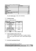 Biznesa plāns 'SIA „Notox”', 31.