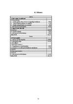 Biznesa plāns 'SIA „Notox”', 33.