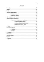 Referāts 'Elektroniskās mūzikas subkultūras loma pastāvošajā Latvijas kultūrā', 2.