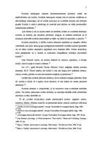 Referāts 'Elektroniskās mūzikas subkultūras loma pastāvošajā Latvijas kultūrā', 7.