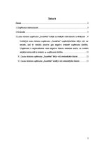 Referāts 'Uzņēmuma "X" iekšējā un ārējā vide', 2.