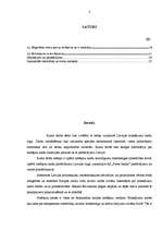 Referāts 'Latvijas maksājumu karšu tirgus analīze', 2.