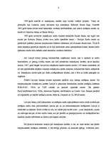 Referāts 'Latvijas maksājumu karšu tirgus analīze', 6.