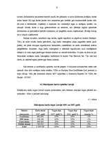 Referāts 'Latvijas maksājumu karšu tirgus analīze', 21.