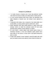 Referāts 'Latvijas maksājumu karšu tirgus analīze', 24.