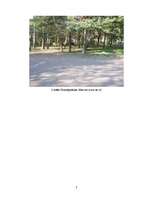 Referāts 'Zemes tirgus vērtības noteikšana, izmantojot salīdzināšanas metodi', 7.