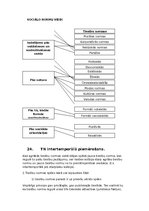 Konspekts 'Tiesību teorija - eksāmena jautājumi', 23.