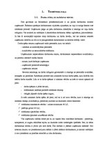 Referāts 'Darbaspēka loma uzņēmējdarbības organizēšanā', 4.