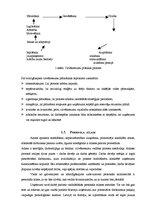 Referāts 'Darbaspēka loma uzņēmējdarbības organizēšanā', 8.