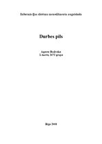 Referāts 'Durbes pils', 1.