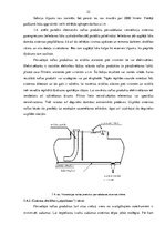Diplomdarbs 'Bīstamo kravu starptautisko autopārvadājumu organizēšana', 21.