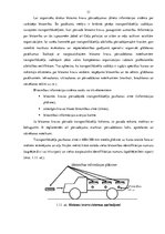 Diplomdarbs 'Bīstamo kravu starptautisko autopārvadājumu organizēšana', 30.