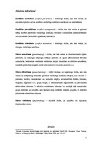 Referāts 'Eiropas Savienības iesaistīšanās miera uzturēšanas procesā', 4.