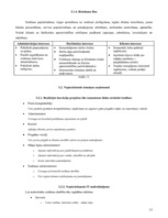 Biznesa plāns 'Inovāciju plāns - efektivitātes paaugstināšana pārtikas veikalos', 13.