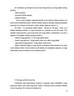 Diplomdarbs 'Līzings un tā attīstība Latvijā', 16.