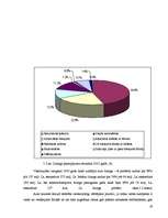 Diplomdarbs 'Līzings un tā attīstība Latvijā', 19.