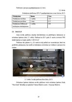 Diplomdarbs 'Mārketinga platformas “Dalder.lv” stratēģijas izstrāde', 29.