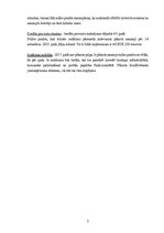 Diplomdarbs 'Mārketinga platformas “Dalder.lv” stratēģijas izstrāde', 91.