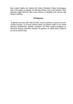 Referāts 'J.I.Stradiņš "Mežvidu velns"', 5.